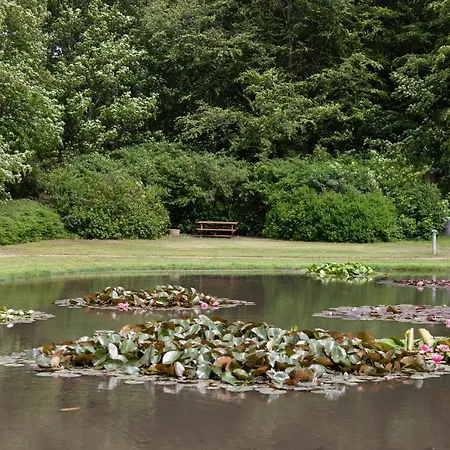 Alojamento de Acomodação e Pequeno-almoço Like House 9 A 4*