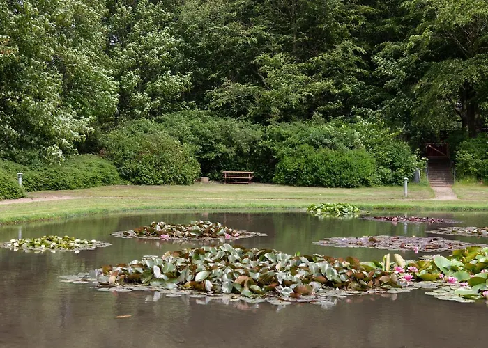 B&B Like House 9 A 4*